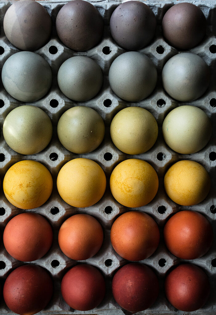 Великденски яйца боядисани в жълто, червено, оранжево, зелено, синьо и виолетово с естествени багрила върху картон за яйца